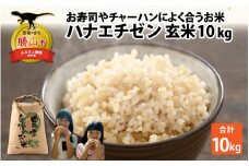 【先行予約】令和6年産 華越前はお寿司やチャーハンによく合うお米です（玄米 10kg） ※2024年9月上旬以降順次発送予定 [A-040022]