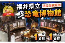 福井県立恐竜博物館 常設展観覧券 (一般 1名様と小・中学生 1名様) [A-048009]