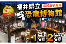 福井県立恐竜博物館 常設展観覧券 (一般 1名様と小・中学生 2名様) [A-048010]