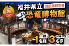 福井県立恐竜博物館 常設展観覧券 (一般 1名様と小・中学生 3名様) [A-048011]
