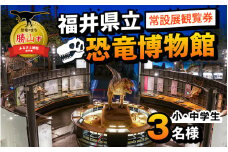 福井県立恐竜博物館 常設展観覧券 (小・中学生 3名様) [A-048012]