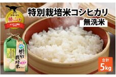 【先行予約】令和7年産 新米 特別栽培米コシヒカリ 5kg ×1袋（無洗米）【発送は2025年9月20日より】 [A-005002]