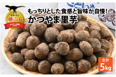 令和6年産 かつやま里芋 5kg[A-005006]