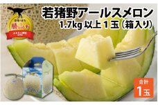 【先行予約】若猪野アールスメロン 1.7kg 以上 1玉 箱入り ※2025年8月下旬より順次発送 [A-011009]