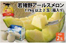 【令和8年産　先行予約】若猪野アールスメロン 1.7kg 以上 2玉 箱入り ※2026年8月下旬より順次発送 [A-011014]