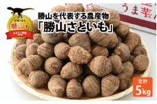 【先行予約】【令和6年産】勝山を代表する農産物 勝山さといも 5kg ※2024年11月上旬より順次発送 [A-046003]