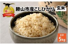【先行予約】【令和6年産】勝山市産こしひかり（玄米）5kg ×1袋 ※2024年9月中旬より順次発送 [A-046001]