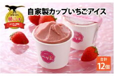 自家製カップいちごアイス 12個 [A-045001]