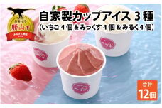 自家製カップアイス3種セット（いちご 4個 & みっくす 4個 & みるく 4個） [A-045003]