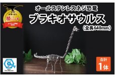 オールステンレスネジ恐竜　ブラキオサウルス(全長640mm) [C-025002]