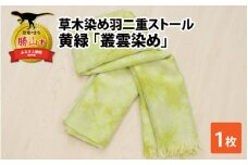 草木染め羽二重ストール 黄緑 叢雲染め [C-053001]