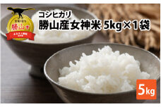 令和5年産 コシヒカリ 勝山産女神（おながみ）米 5kg×1袋 [A-042006]
