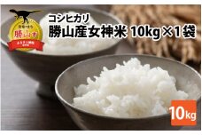 令和5年産 コシヒカリ 勝山産女神（おながみ）米 10kg×1袋 [B-042002]