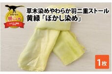草木染めやわらか羽二重ストール 黄緑 ぼかし染め [B-053001]