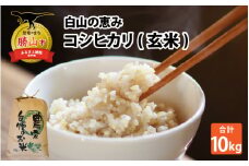 【先行予約】白山の恵み 令和6年度産 新米 コシヒカリ（玄米）10kg ※2024年10月上旬より順次発送 [A-009009]
