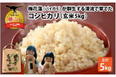 【先行予約】令和6年産 梅花藻が群生する清流で育てたコシヒカリ（玄米 5kg） ※2024年9月下旬以降順次発送予定 [A-040019]