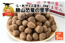 勝山恐竜の里芋（L・Mサイズ混合）5kg [A-042003]