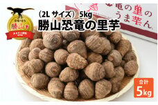 勝山恐竜の里芋（2Lサイズ）5kg [A-042004]