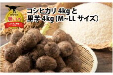令和5年産 コシヒカリ 4kgと里芋 4kg(M～LLサイズ) [B-020002]