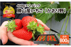 【先行予約】勝山産いちご（かおり野）400g×2パック ※2024年12月中旬より順次発送 [A-045006]