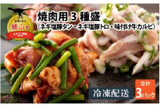 焼肉用3種盛（ネギ塩豚トロ 400g・ネギ塩豚タン 400g・味付け牛カルビ 350g）×1セット [A-037016]