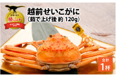 越前せいこがに 1杯（ゆで上げ後 約120g） [A-044003]