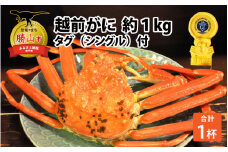 越前ずわいがに 約1kg × 1杯 タグ（シングル）付 [J-044002]