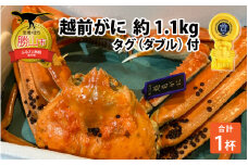 越前ずわいがに 約1.1kg×1杯 タグ（ダブル）付 [L-044003]