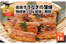 血抜きうなぎの蒲焼（無頭） 焼成後250g前後×1尾 | 国産 [A-044002]