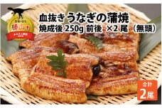 血抜きうなぎの蒲焼（無頭）焼成後250g前後×2尾 | 国産 [B-044001]