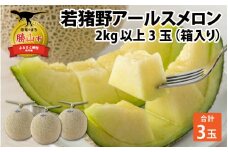 【先行予約】若猪野アールスメロン 2kg 以上 3玉 箱入り ※2025年8月下旬より順次発送 [A-011011]