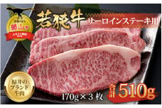 【福井のブランド牛肉】若狭牛 サーロインステーキ用 510g（170g×3枚） [C-058002]