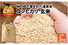林の中で育まれた滝本米 コシヒカリ玄米3kg [A-043002]
