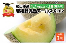 福井県勝山市産 若猪野完熟アールスメロン 1.7kg以上×3玉（箱入り）  [B-067001]