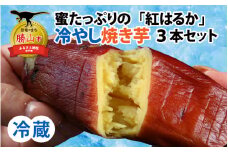 【先行予約】蜜たっぷりの紅はるかを使った　冷やし焼き芋 3本セット（約600g～750g） ※2025年3月上旬より順次発送 [A-069001]