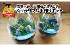 恐竜＋苔＋天然石が作り出す、癒やしの自然空間！ ジュラリウム手作りキット [B-070001]