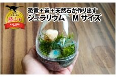 恐竜＋苔＋天然石が作り出す、癒やしの自然空間！ ジュラリウム Mサイズ [A-070002]