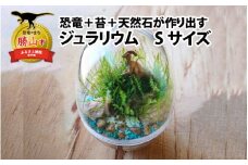 恐竜＋苔＋天然石が作り出す、癒やしの自然空間！ ジュラリウム Sサイズ [A-070001]