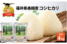 令和6年産 福井県産奥越コシヒカリ2kg ×2袋（計 4kg） [A-015019]