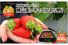 【先行予約】勝山産いちご（かおり野）400g×1パック ※2024年12月中旬より順次発送 [A-045009]