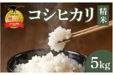 【令和6年産】【勝山市産】田中さんちのコシヒカリ 精米 5kg [A-080004]