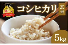 【令和6年産】【勝山市産】田中さんちのコシヒカリ 玄米 5kg [A-080005]