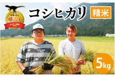 【令和6年産 新米】勝山産 コシヒカリ 精米 5kg [A-079001]