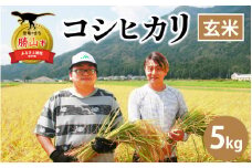 【令和6年産 新米】勝山産 コシヒカリ 玄米 5kg [A-079002]