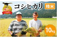 【令和6年産 新米】勝山産 コシヒカリ 精米 10kg（5kg×2袋） [B-079001]