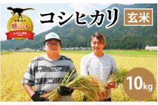 【令和6年産 新米】勝山産 コシヒカリ 玄米 10kg（5kg×2袋） [B-079002]