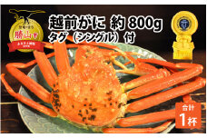 越前ずわいがに 約800g × 1杯 タグ（シングル）付 [H-044001]