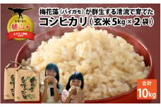 【先行予約】令和7年産 梅花藻が群生する清流で育てたコシヒカリ（玄米 5kg ×2袋） 計10kg ※2025年9月下旬以降順次発送予定 [A-040027]