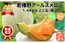 【先行予約】 【数量限定！】若猪野アールスメロン 1.6kg 以上 (赤肉・青肉各１玉）合計 2玉 箱入り ※2025年７月下旬より順次発送 [A-011012]