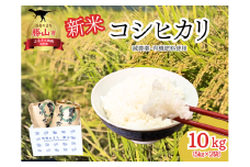 [C-096001]【先行予約】【2025年産新米】福井県勝山のおいしいコシヒカリ10kg